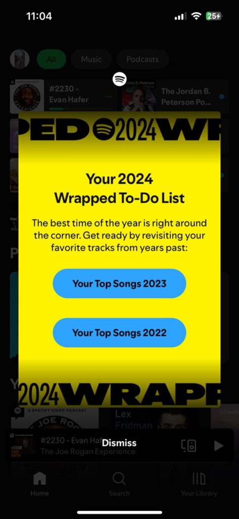 Spotify-Wrapped-2024-teaser